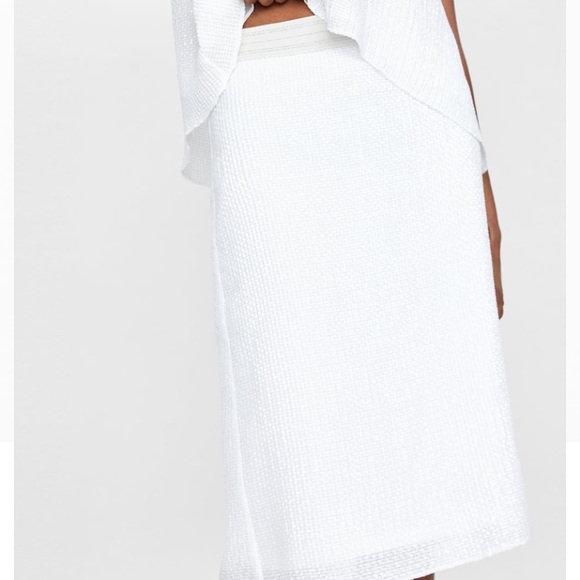 Zara Skirts | White Sequin Skirt | Poshmark